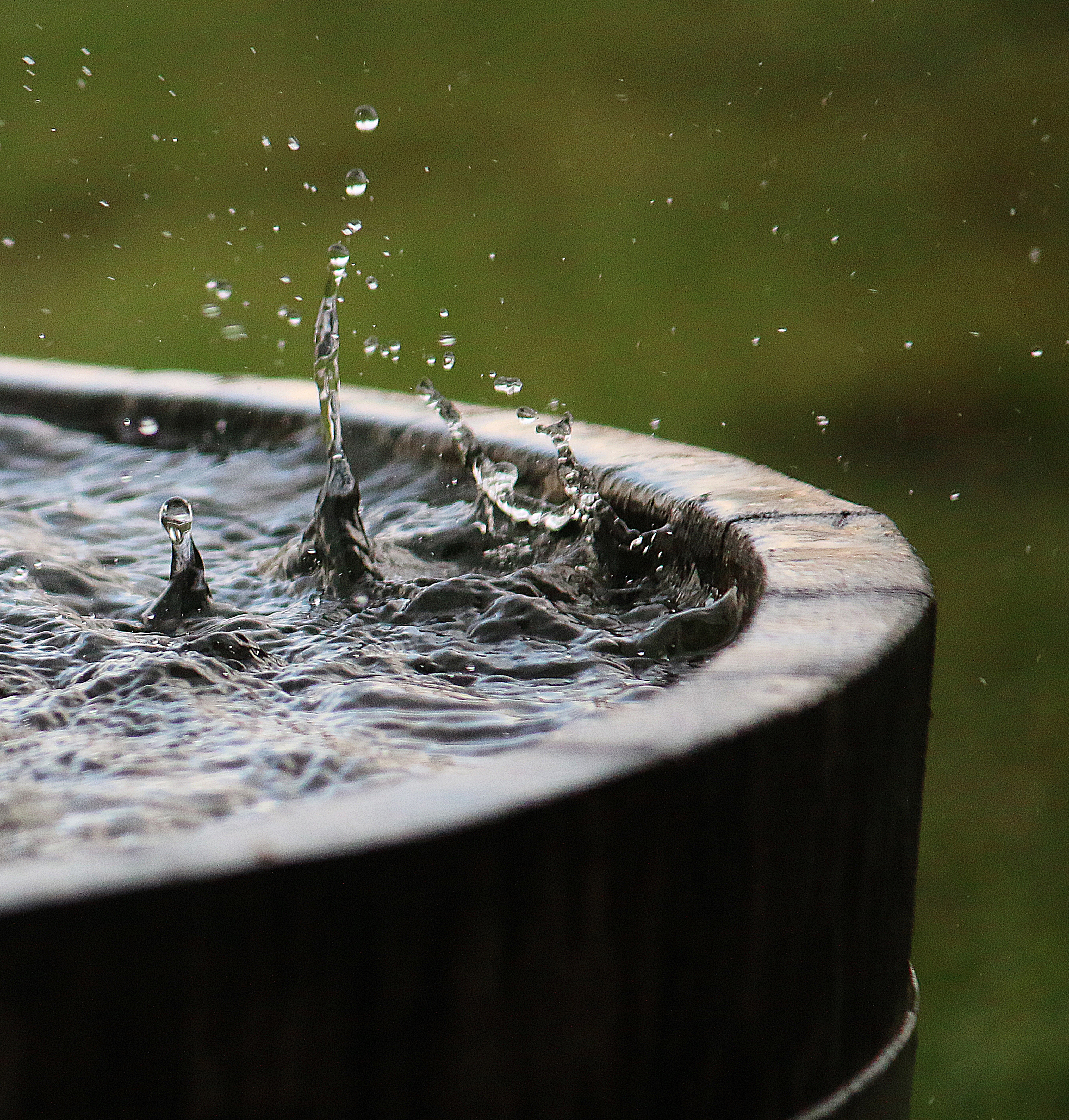 Regenwasser-Fass Regenwasser-Fass